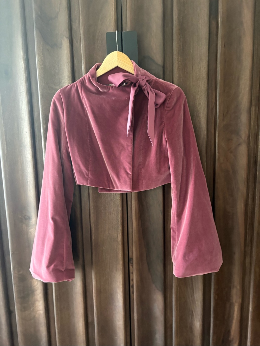 Valentino Velvet Cropped Tie-Neck Top in Mauve